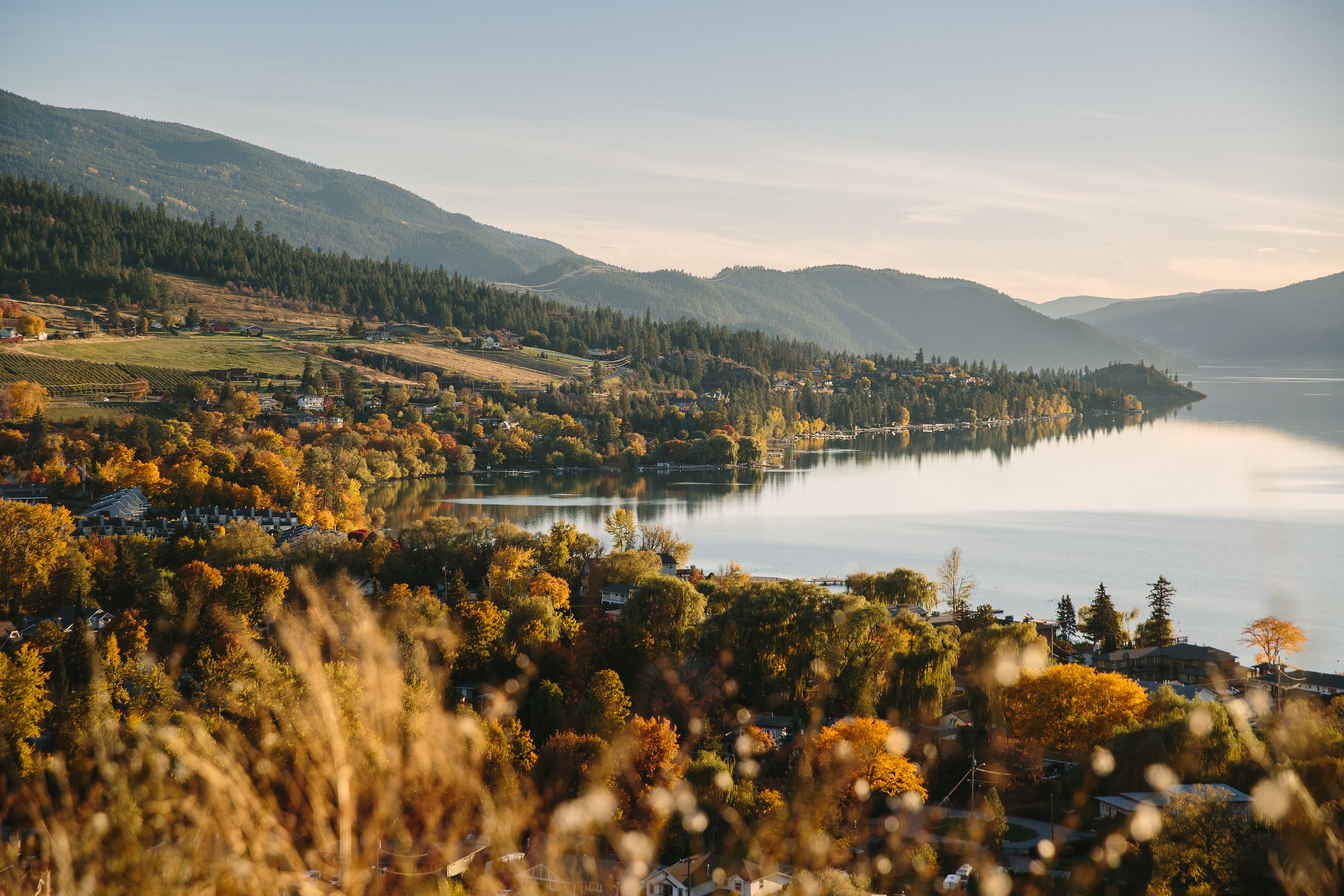 Fall shot by the water in Coldstream near Vernon