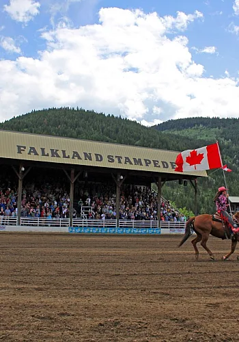 Eine Person reitet ein Pferd beim Falkland Stampede.