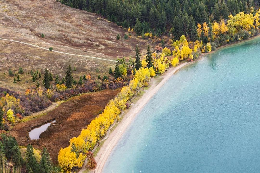 Shoreline of Kalamalka Lake in the fall. A sandy beach is ringed around by trees with yellow leaves.