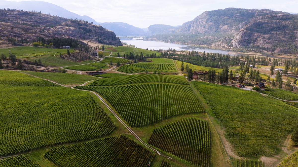 An aerial view of vineyards in Valleys & Vineyards in BC
