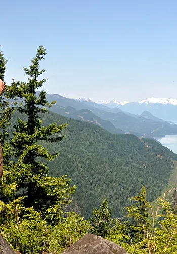 Eine Person wandert den Harrison Grind im Harrison River Valley, BC