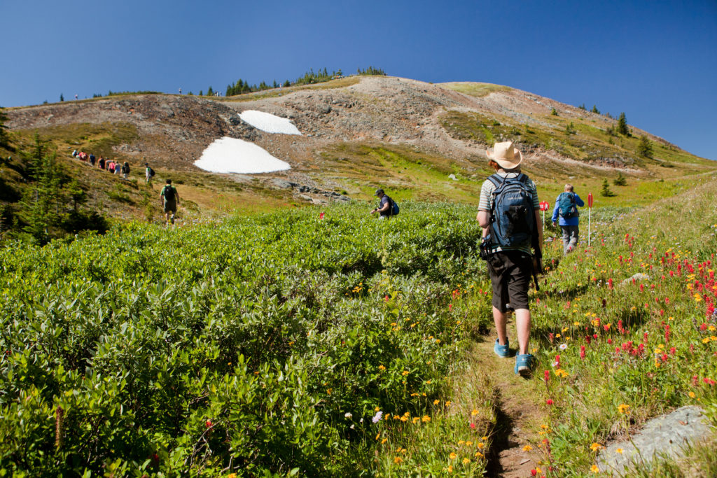 Alpine hiking at Sun Peaks Resort.