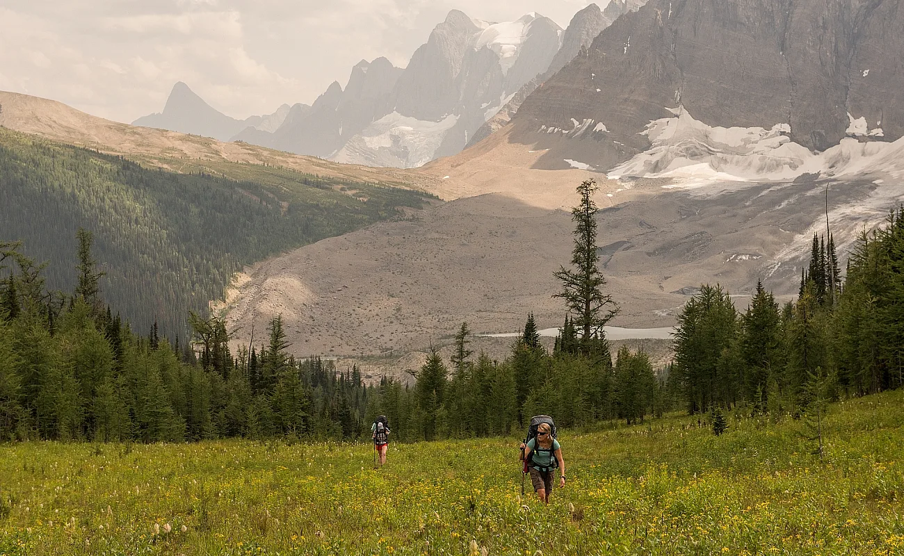 Two people with big backpacks walk toward the camera through a grassy field. Behind them is a ring of evergreen trees, and beyond those are rugged mountain peaks and glaciers.