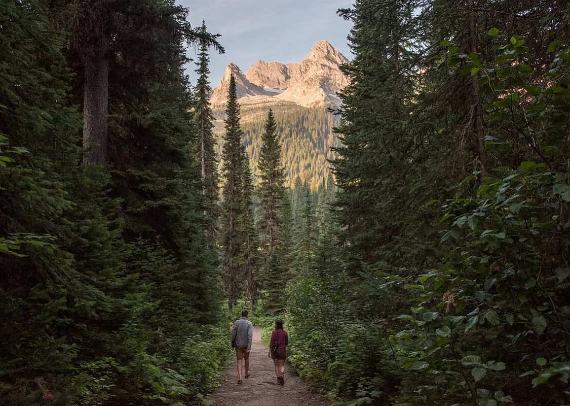 El sendero que baja a Island Lake en Island Lake Lodge cerca de Fernie, BC