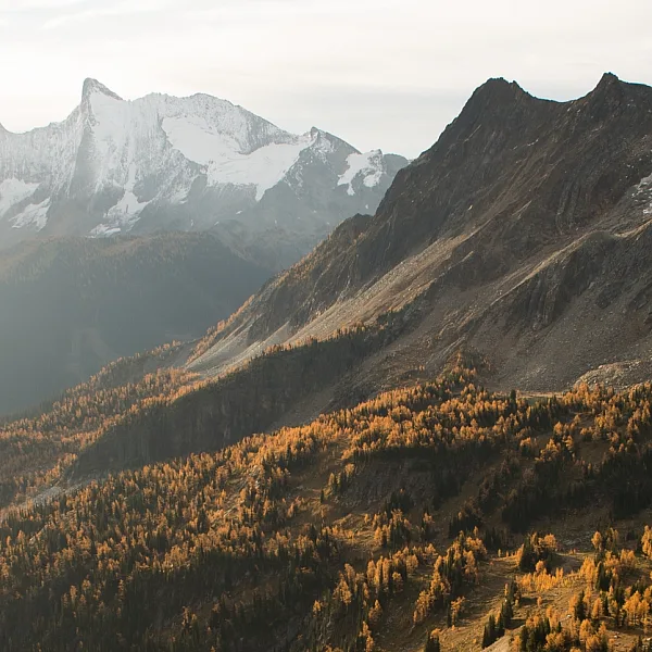 A hiker at Jumbo Pass in the Purcell Mountains.
