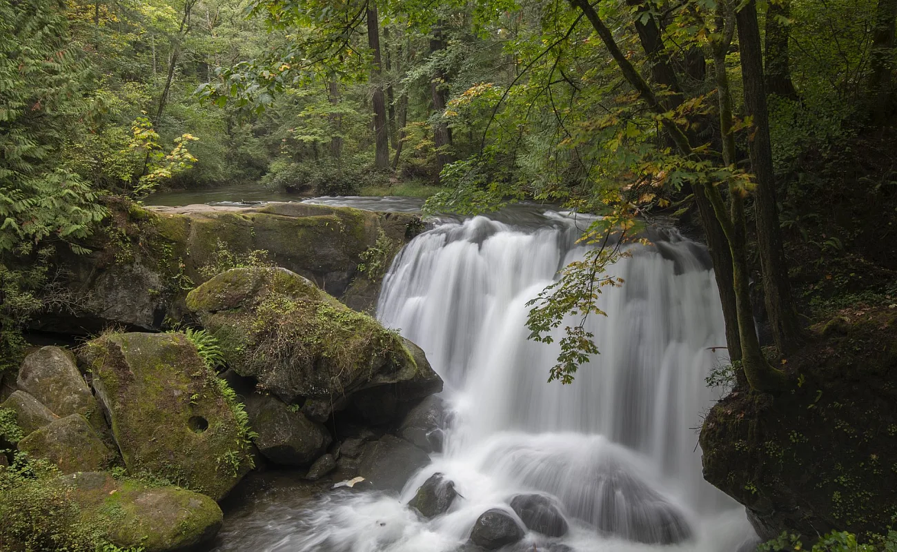 Üppige Waldlandschaft mit einem kurzen, aber kräftigen Wasserfall, der auf Felsen darunter stürzt.