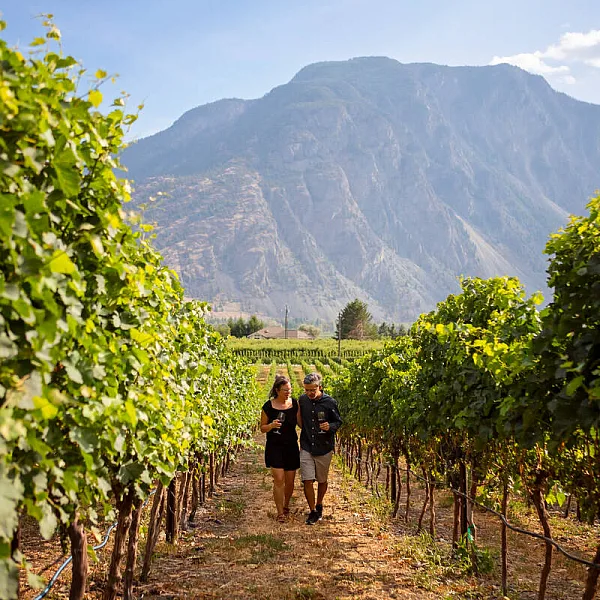 Zwei Personen gehen durch die Weinberge der Corcelettes Estate Winery.