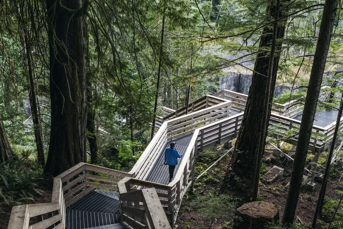 Eine Holztreppe durch einen dichten Wald.