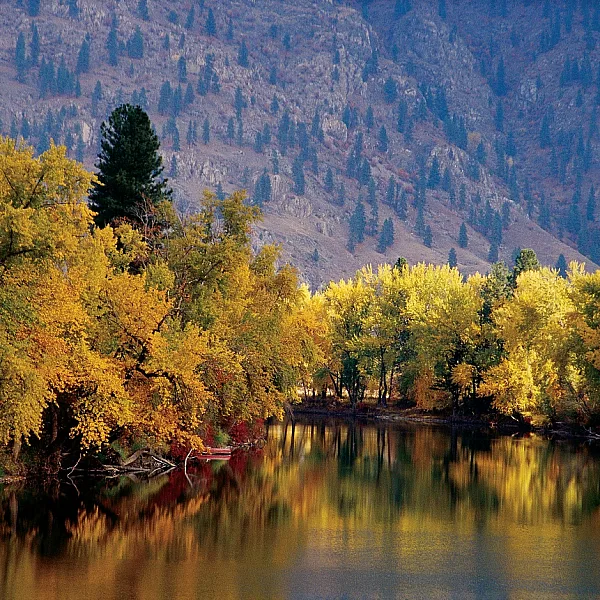 Bäume im Herbst mit goldenen Blättern säumen den Kettle River.