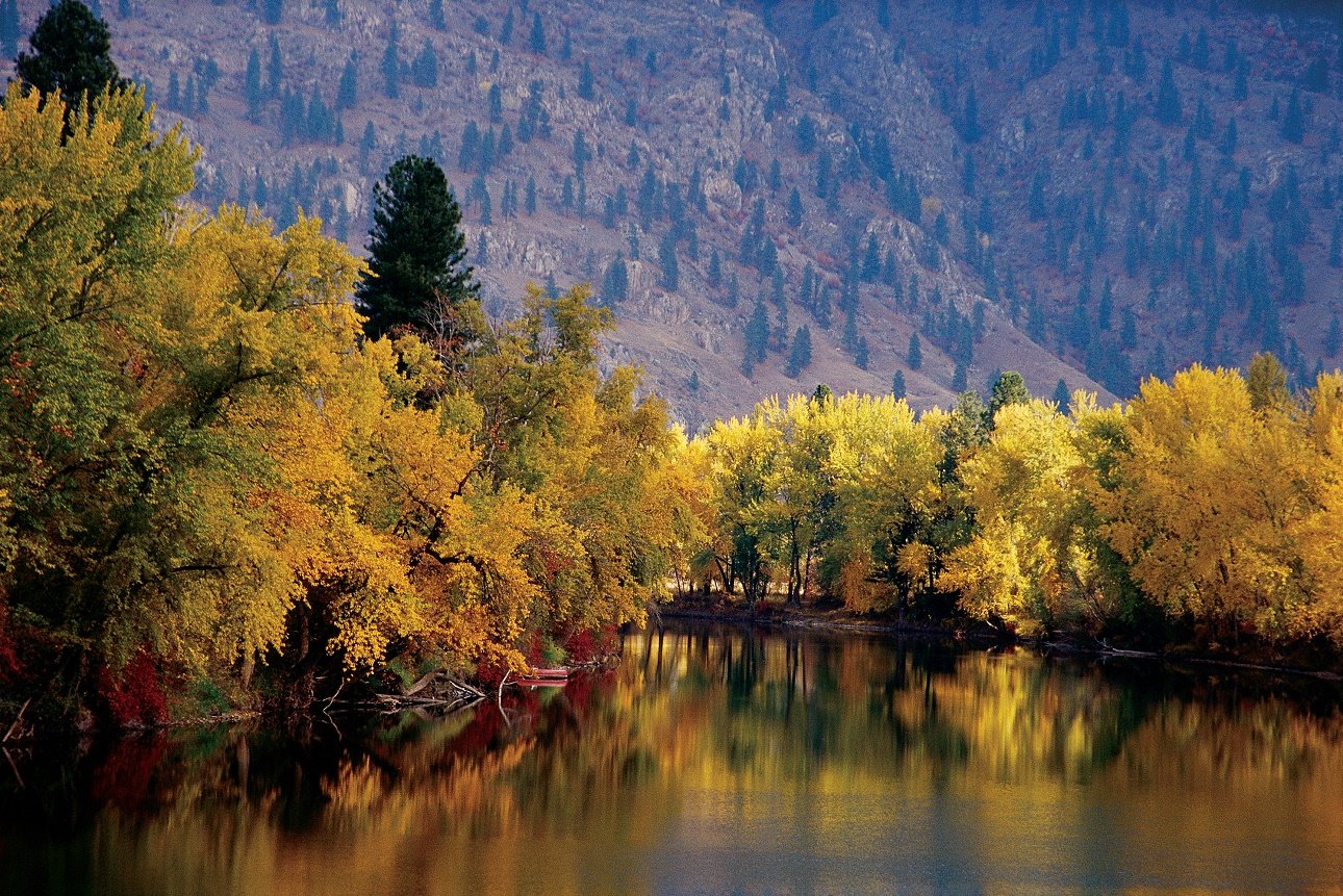 Trees in fall with golden leaves line the Kettle River.