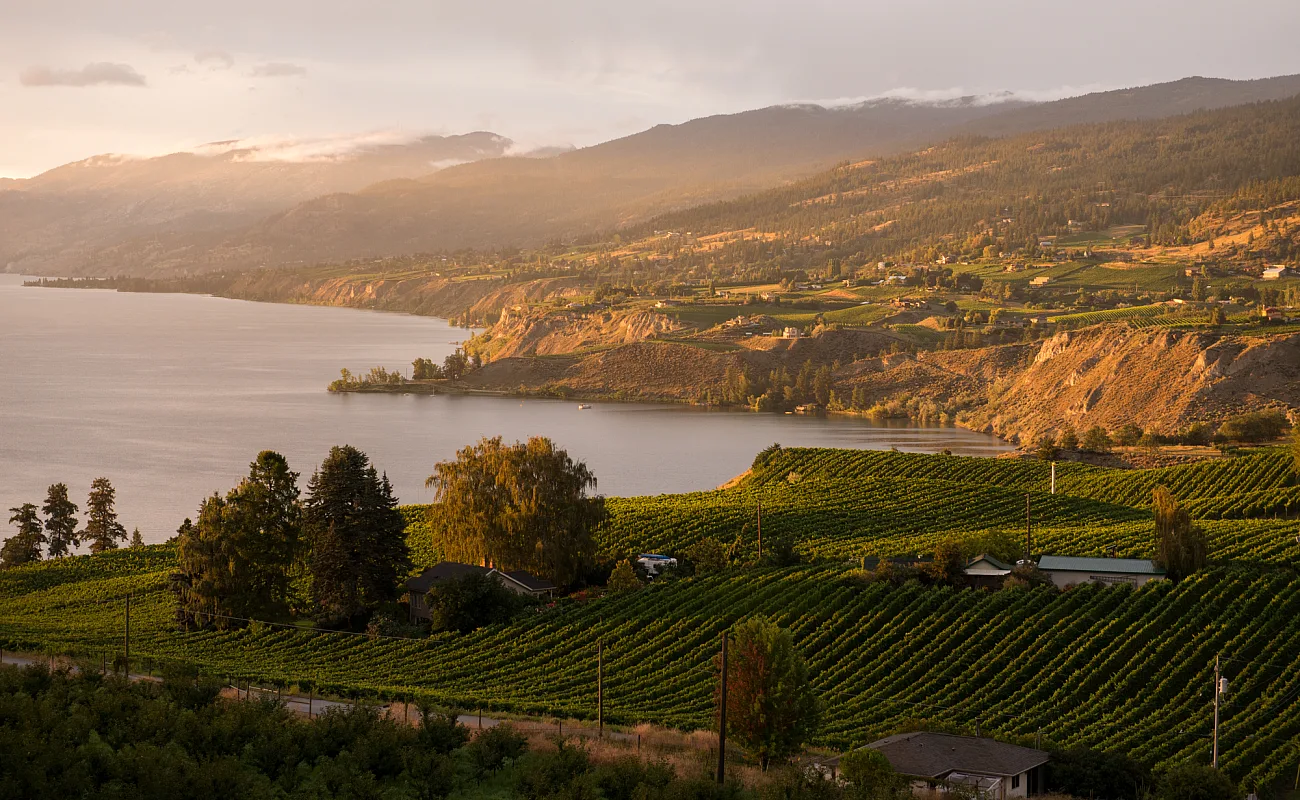View looking out over the vineyards, Okanagan Lake and Naramata from Munson Mountain