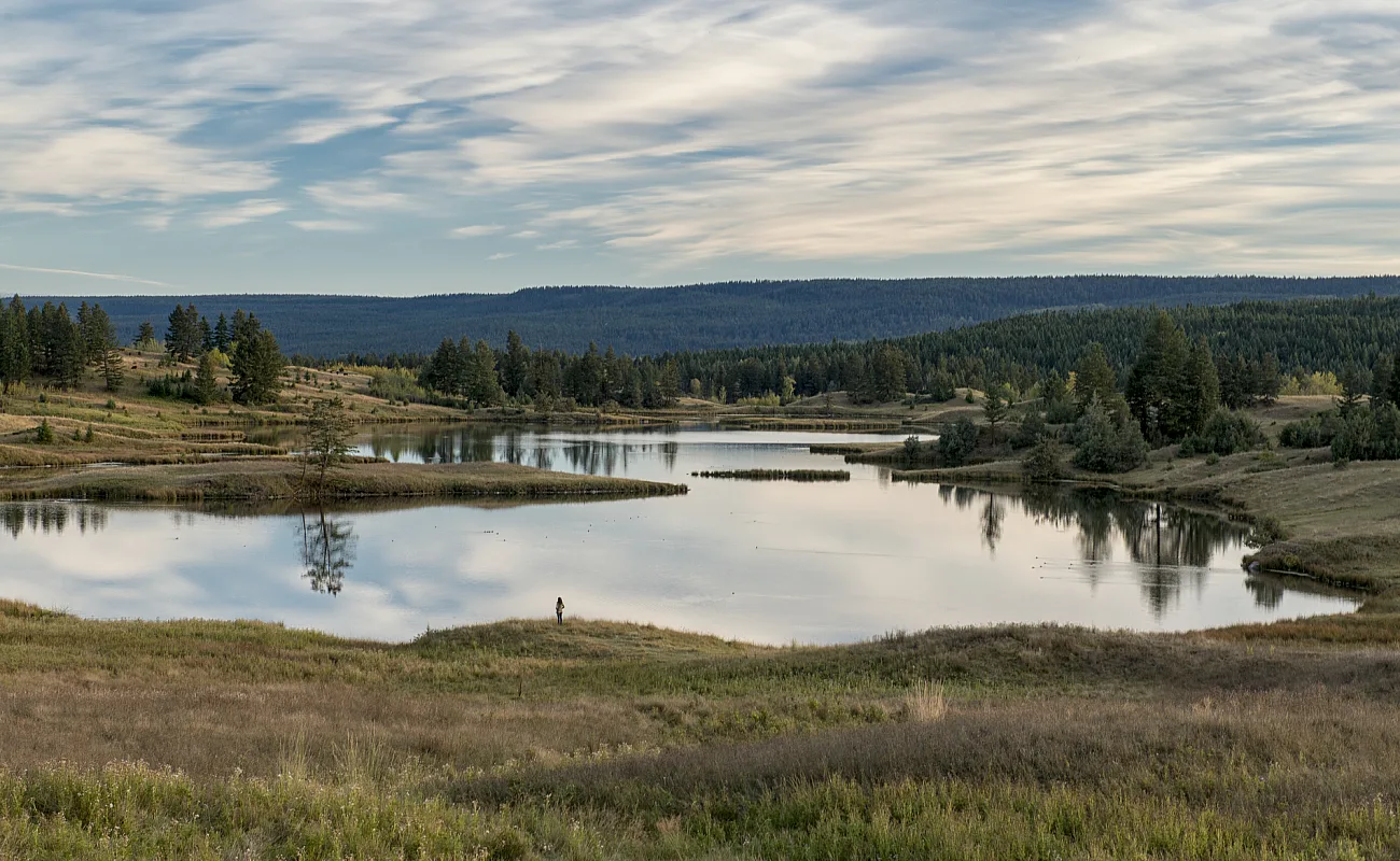 A small lake surrounded by trees and a grassy field on a cloudy day.