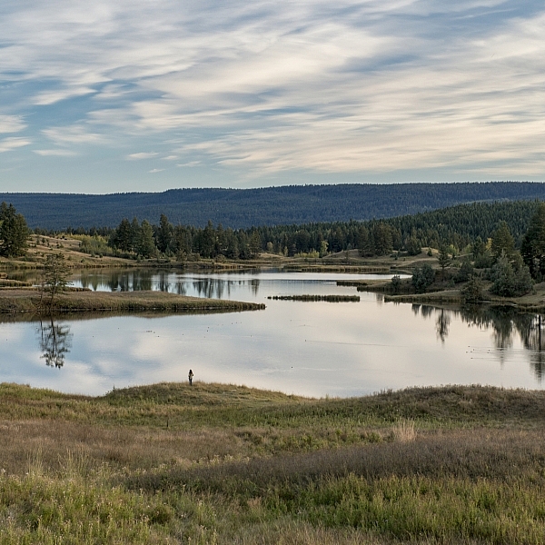Un pequeño lago rodeado de árboles y un campo de hierba en un día nublado.