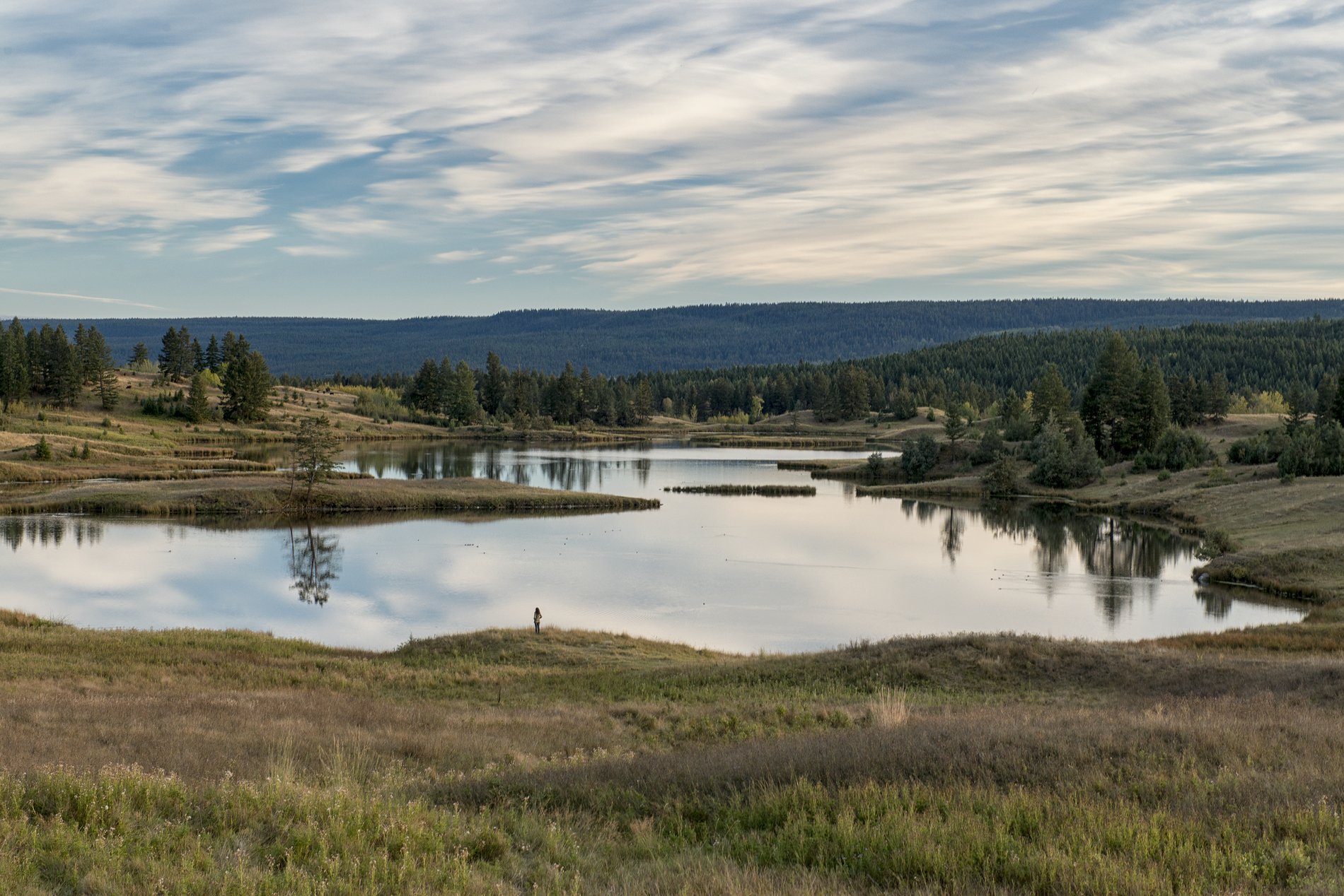 A small lake surrounded by trees and a grassy field on a cloudy day.