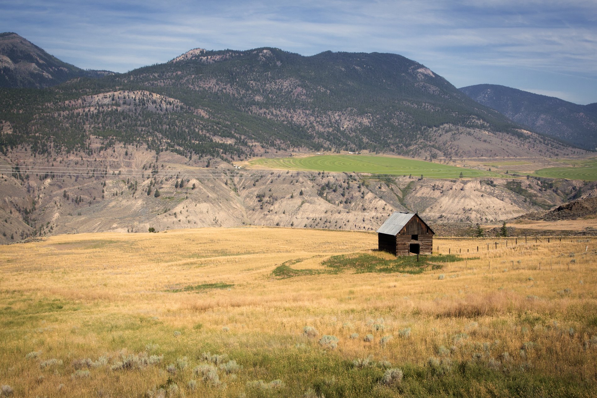 Meadow and grassland near Clinton. Credit Destination BC/Robin Ryan