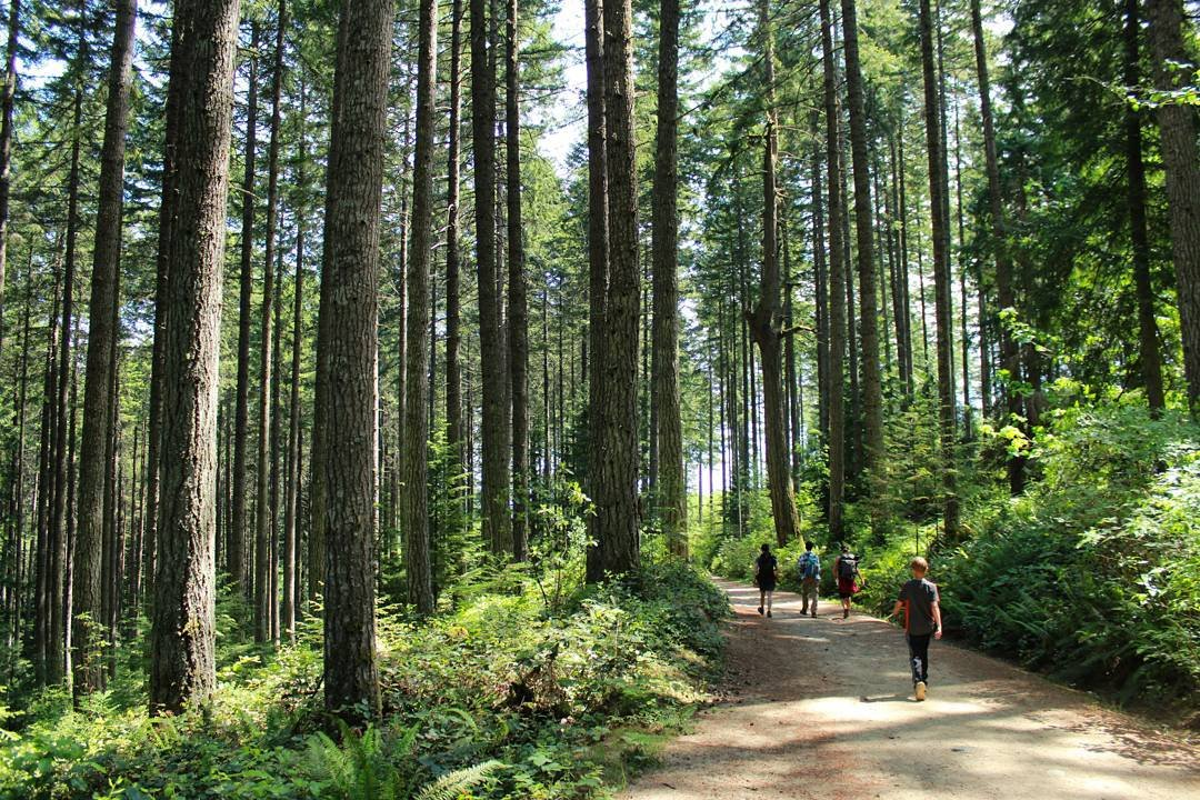 People Walking to Ammonite Falls