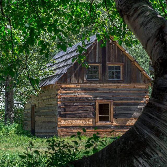 A wooden cabin surrounded by trees and bushes