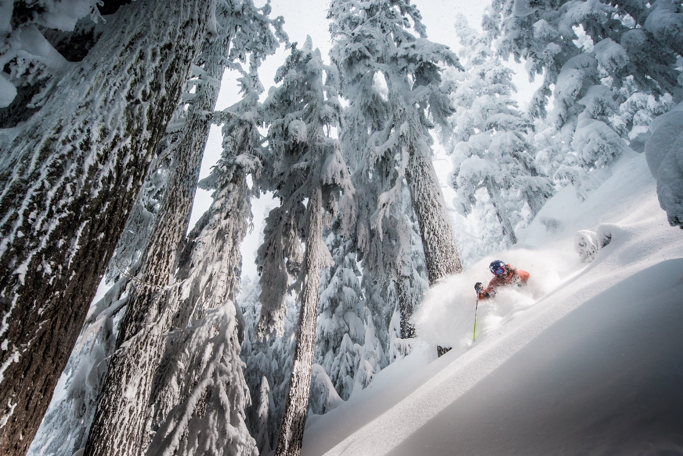 skier on blackcomb mountain whistler