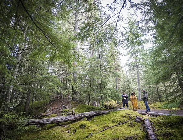 Cultural Ambassador in regalia in the woods on the Forest Walk from the Squamish Lil'wat Cultural Centre in Whistler