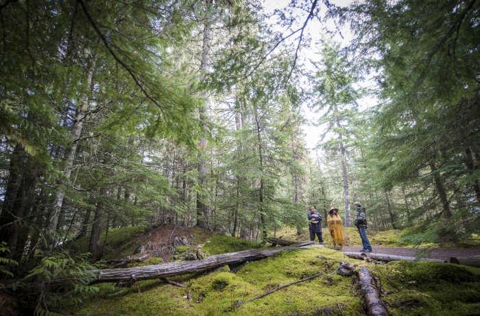 Cultural Ambassador in regalia in the woods on the Forest Walk from the Squamish Lil'wat Cultural Centre in Whistler