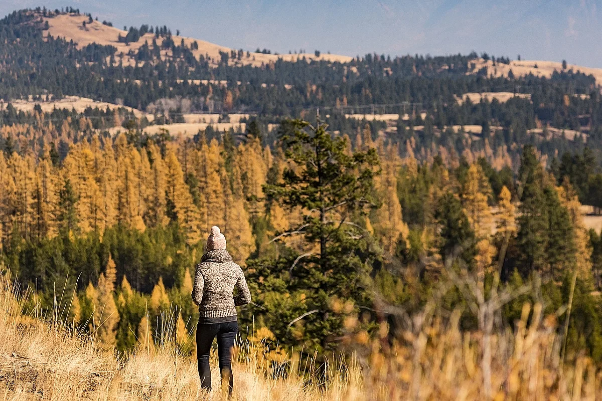 Una persona con un suéter de punto se encuentra en un mirador con vistas a Fisher Park, donde hay alerces entre pinos y vistas panorámicas de las montañas en el horizonte.