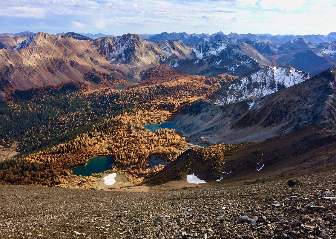 A sweeping view of the mountains where the sunlight adds warmth to the collection of larch trees that sit below, surrounded by snow dusted mountain ranges.
