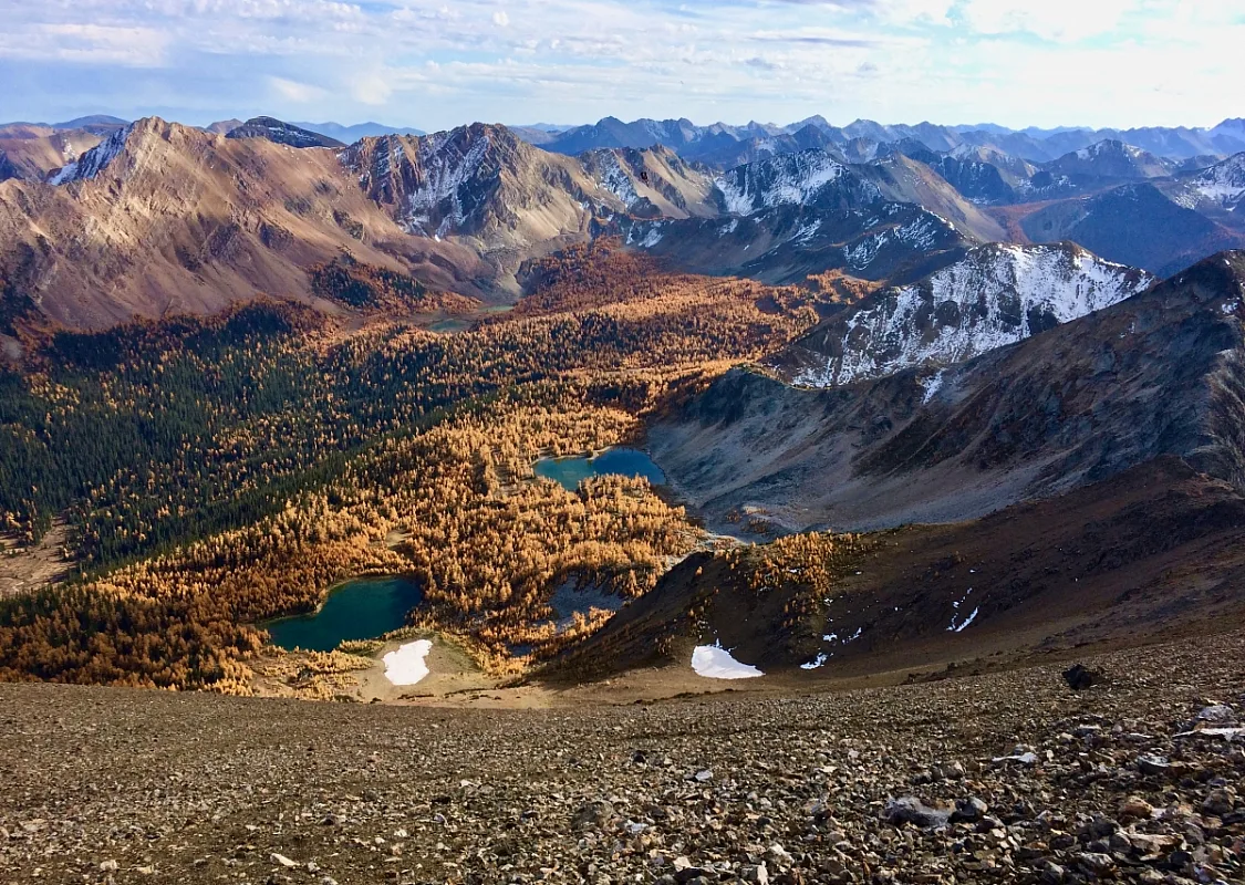 A sweeping view of the mountains where the sunlight adds warmth to the collection of larch trees that sit below, surrounded by snow dusted mountain ranges.