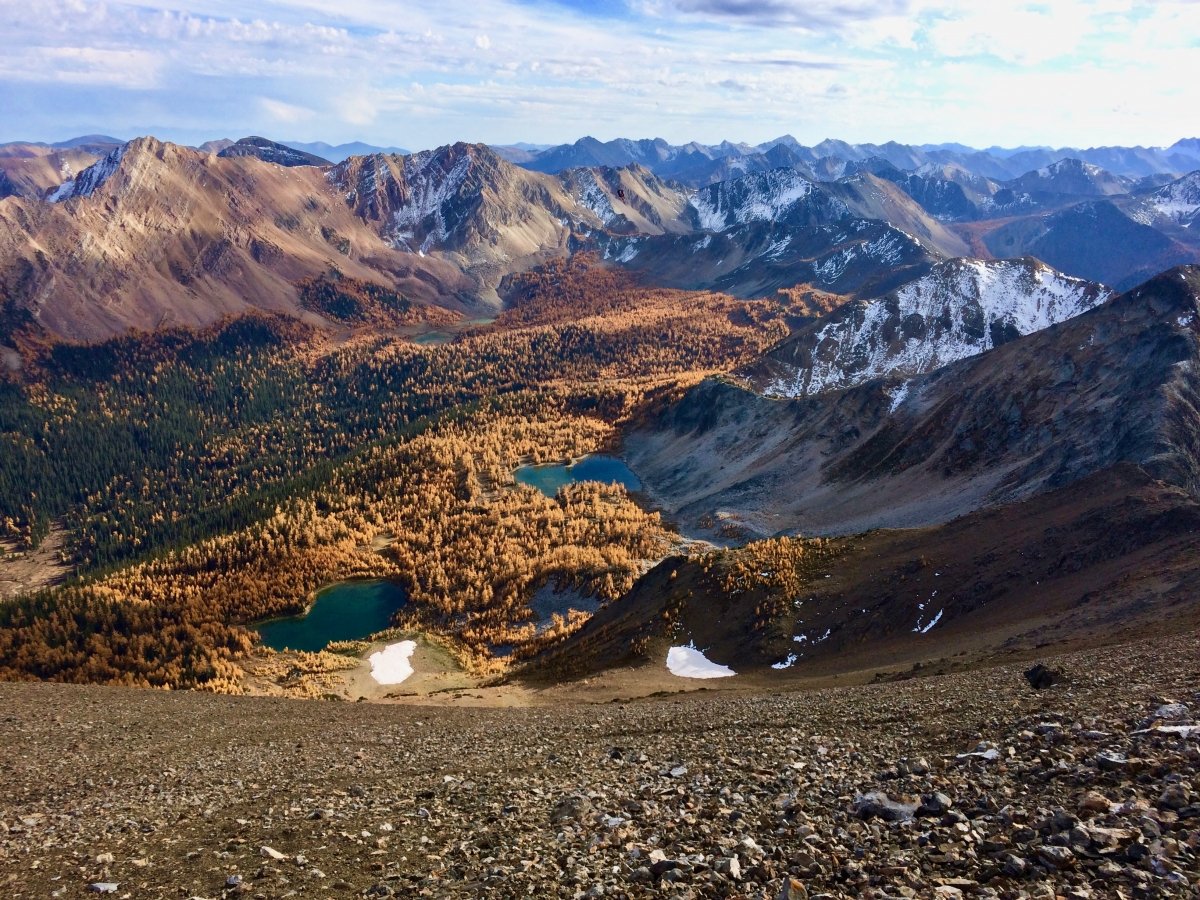 A sweeping view of the mountains where the sunlight adds warmth to the collection of larch trees that sit below, surrounded by snow dusted mountain ranges.