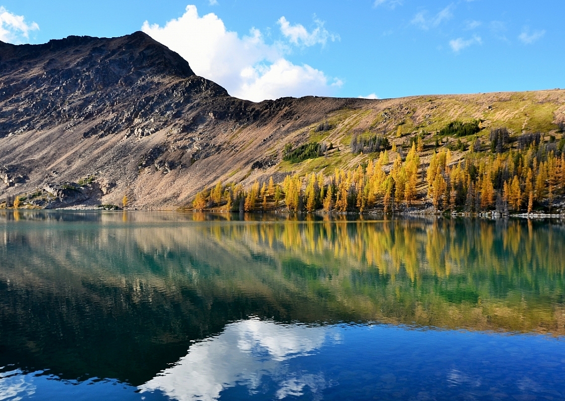 The water on the lake mirrors the blue skies with a cloud tucked behind a mountain and rows of larches on the other side of the lake.