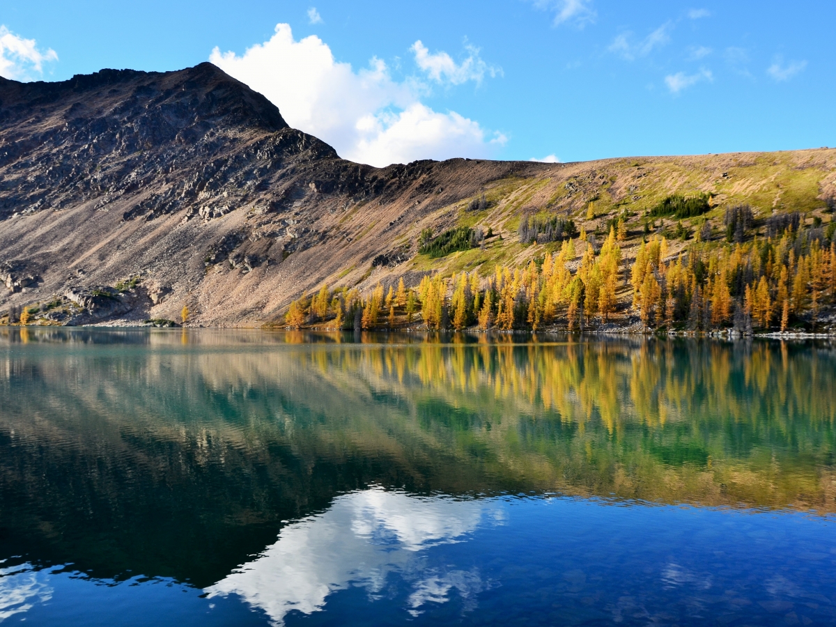 The water on the lake mirrors the blue skies with a cloud tucked behind a mountain and rows of larches on the other side of the lake.