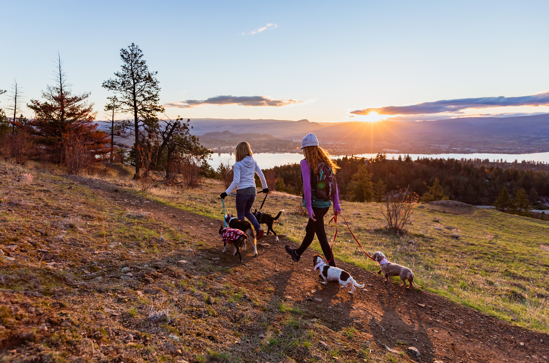Dos personas caminan por un sendero con dos perros atados con correas a su lado. El sol se está poniendo y les baña con un resplandor dorado.