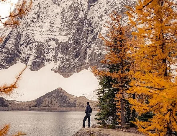 A person stands on a rock overlooking Floe Lake. Snowcapped mountains in the distance and bright yellow larches are in the foreground.