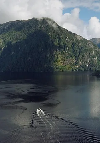 Aerial view of forest-covered mountains rising from the ocean with a boat headed toward land.