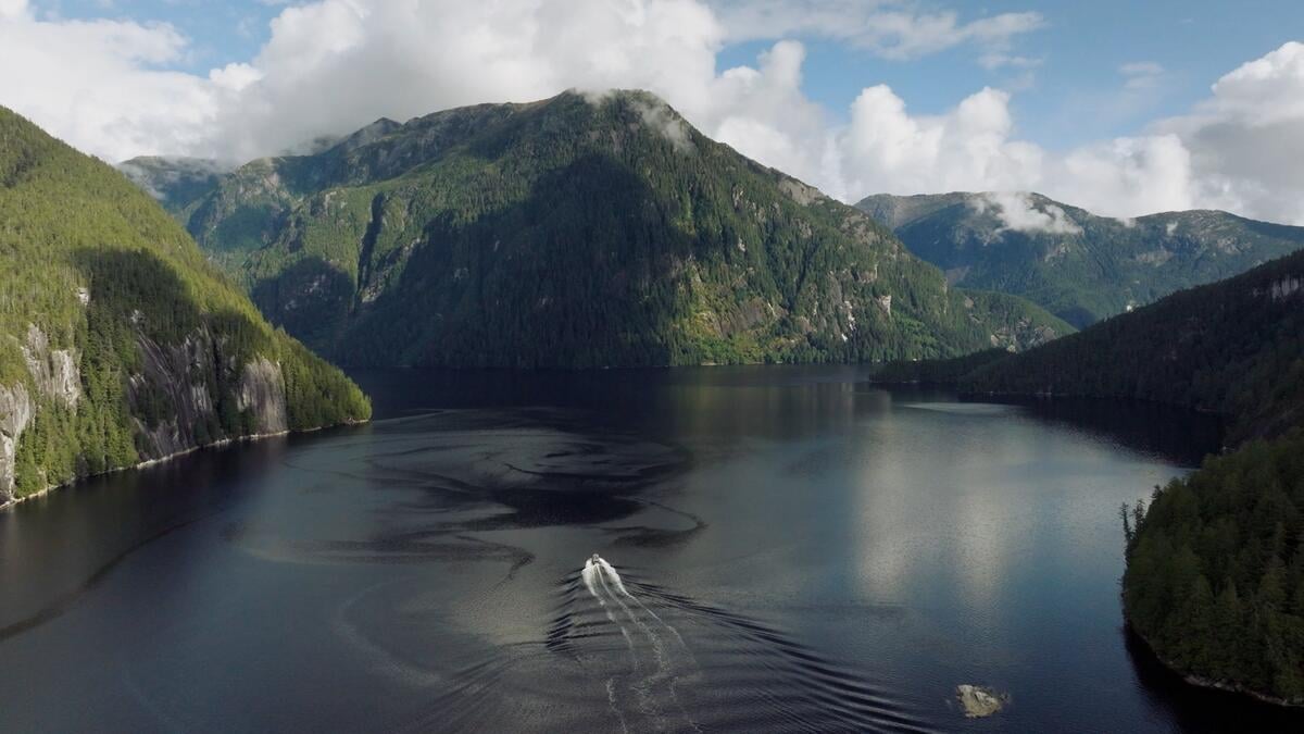 Aerial view of forest-covered mountains rising from the ocean with a boat headed toward land.