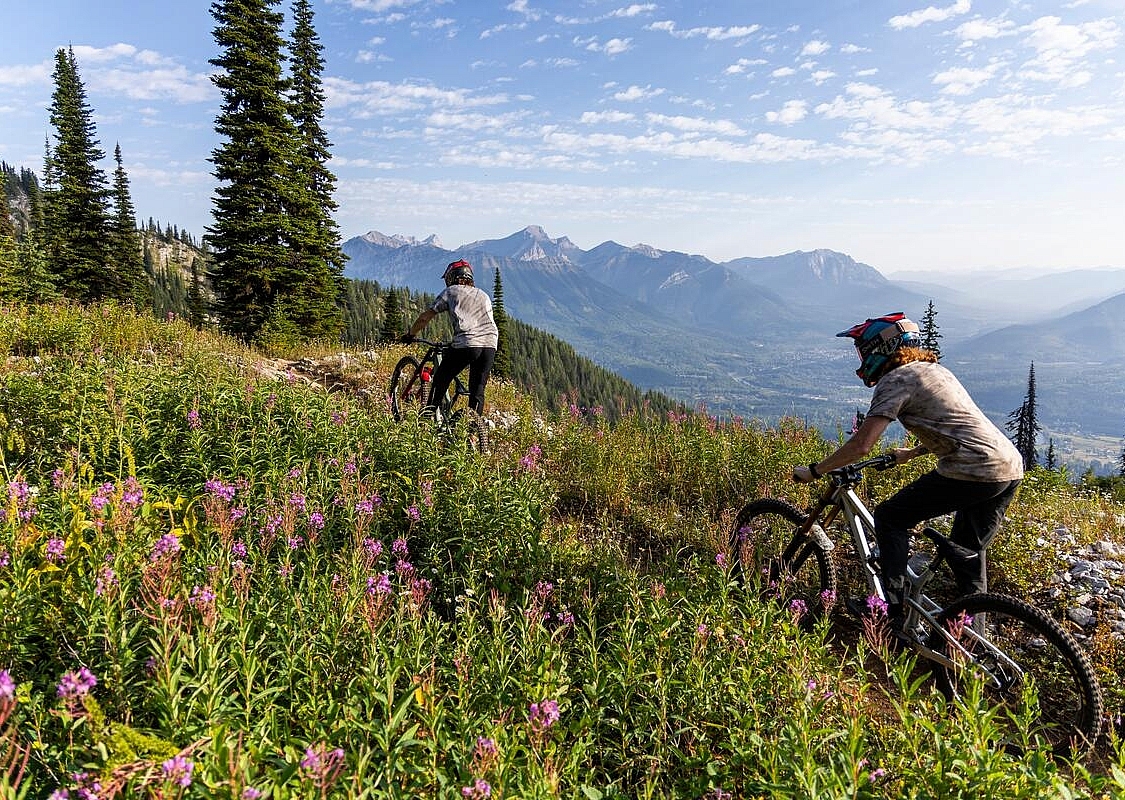 Zwei Mountainbiker*innen fahren durch eine Almwiese.