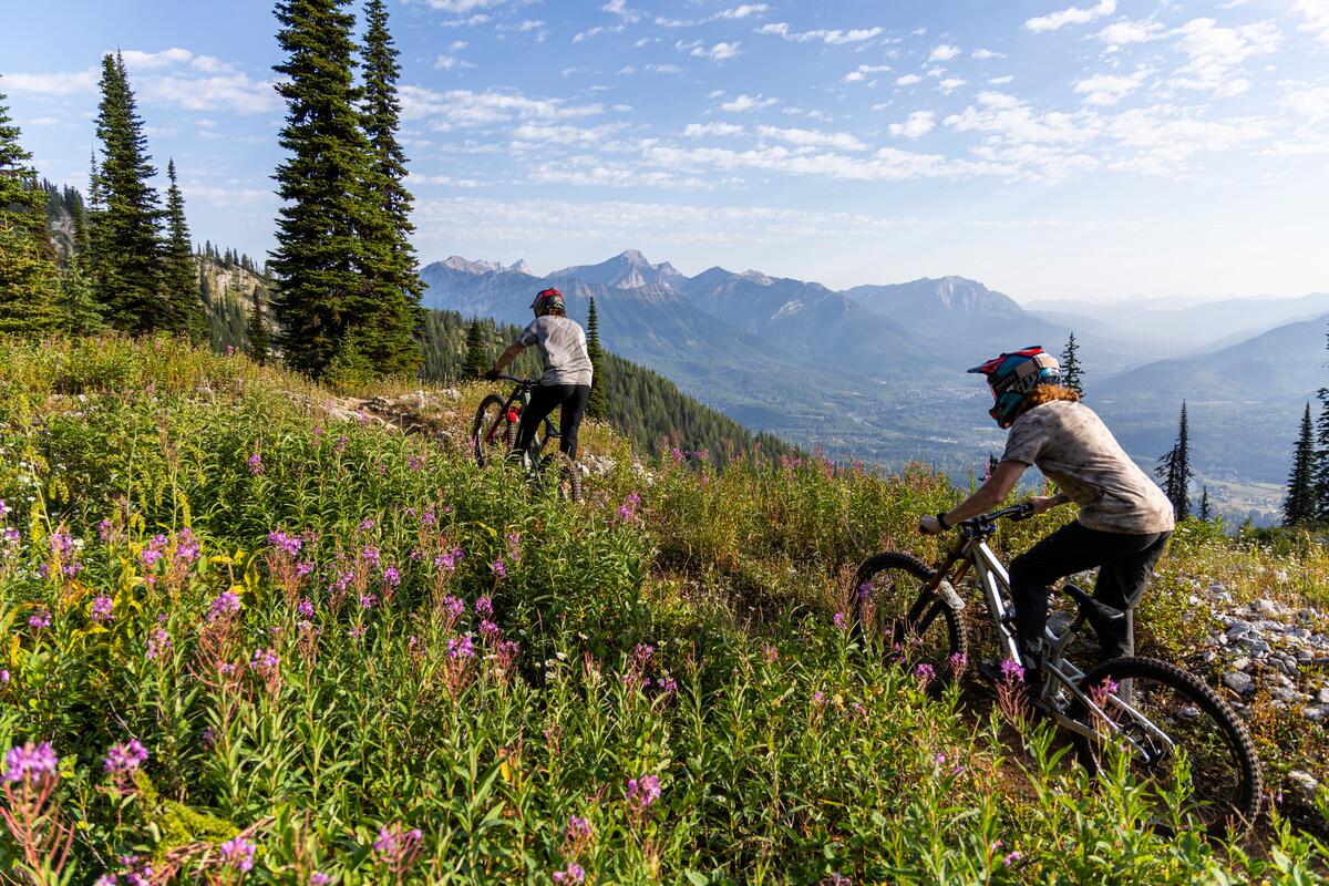 Two mountain bikers ride through an alpine meadow.