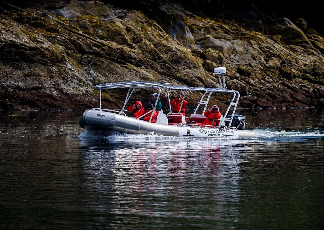 Ein Ausflugsboot fährt ufernah auf der Suche nach Bären.