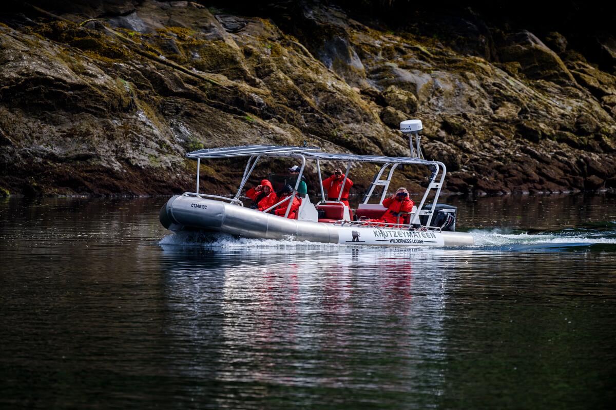 Tour boat travels close to shore in search of bears.