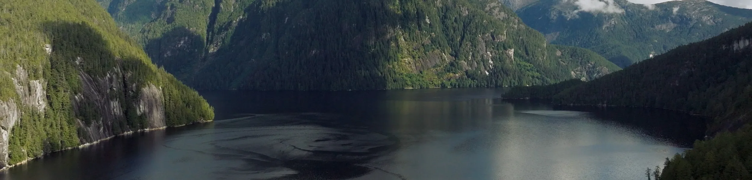 An aerial shot of the YuWala Marine Charters boat on a tour through the fjords of Bella Bella.