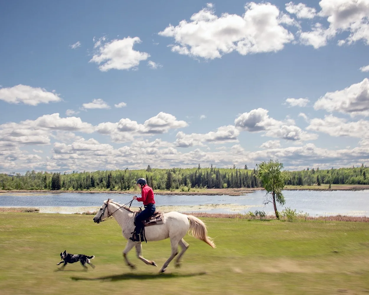 Un vaquero montando a caballo junto a un perro y al lado del lago en el Flying U Ranch, el rancho turístico más antiguo de Canadá, situado en 70 Mile House.