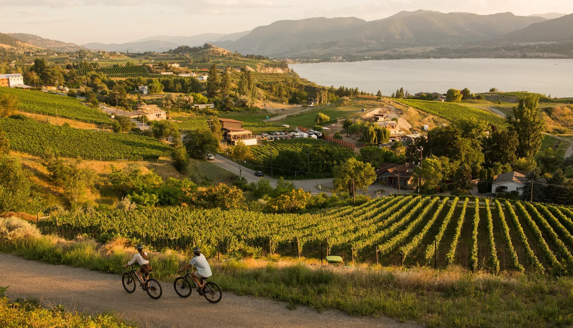 Cycling past vineyards on the Kettle Valley Railway between Penticton and Naramata