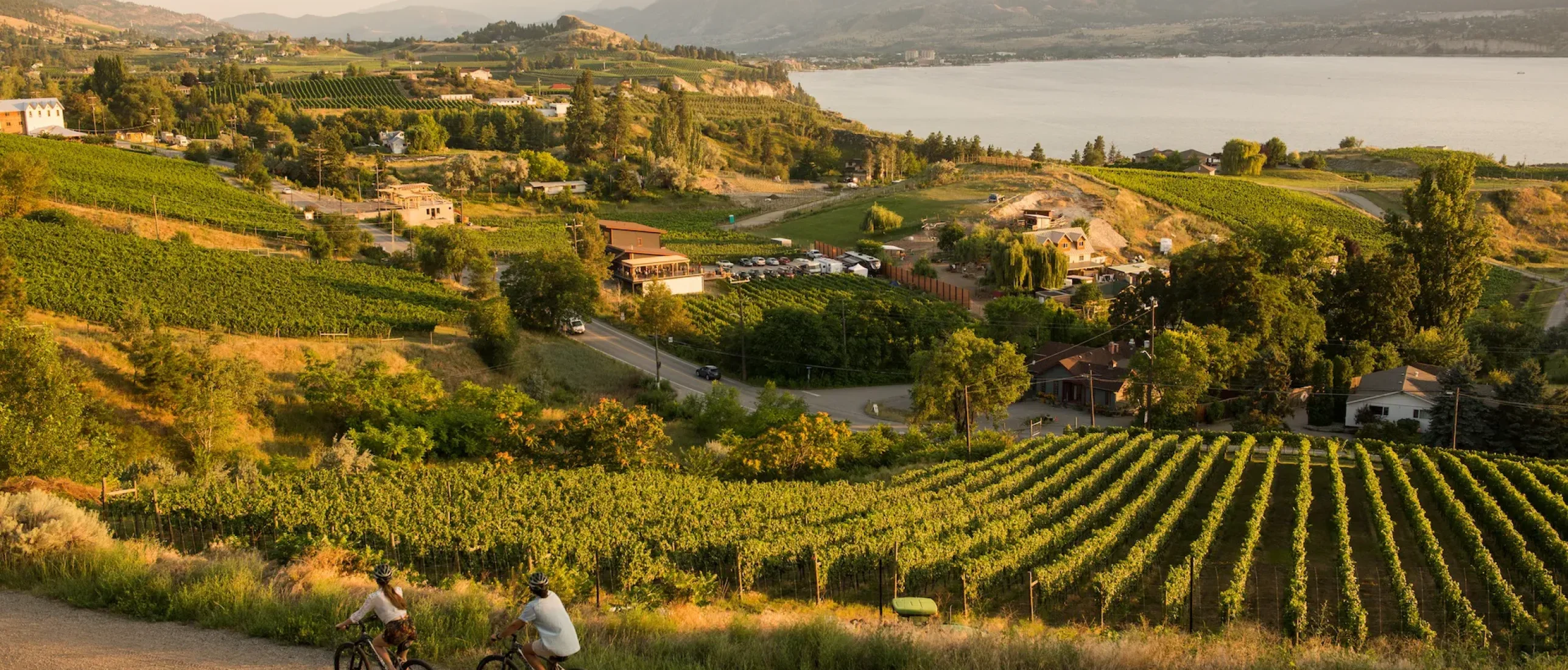 Cycling past vineyards on the Kettle Valley Railway between Penticton and Naramata