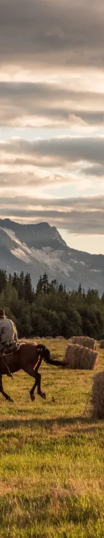 Horseback Riding at Bracewell's Alpine Wilderness Adventures above Tatlayoko Lake