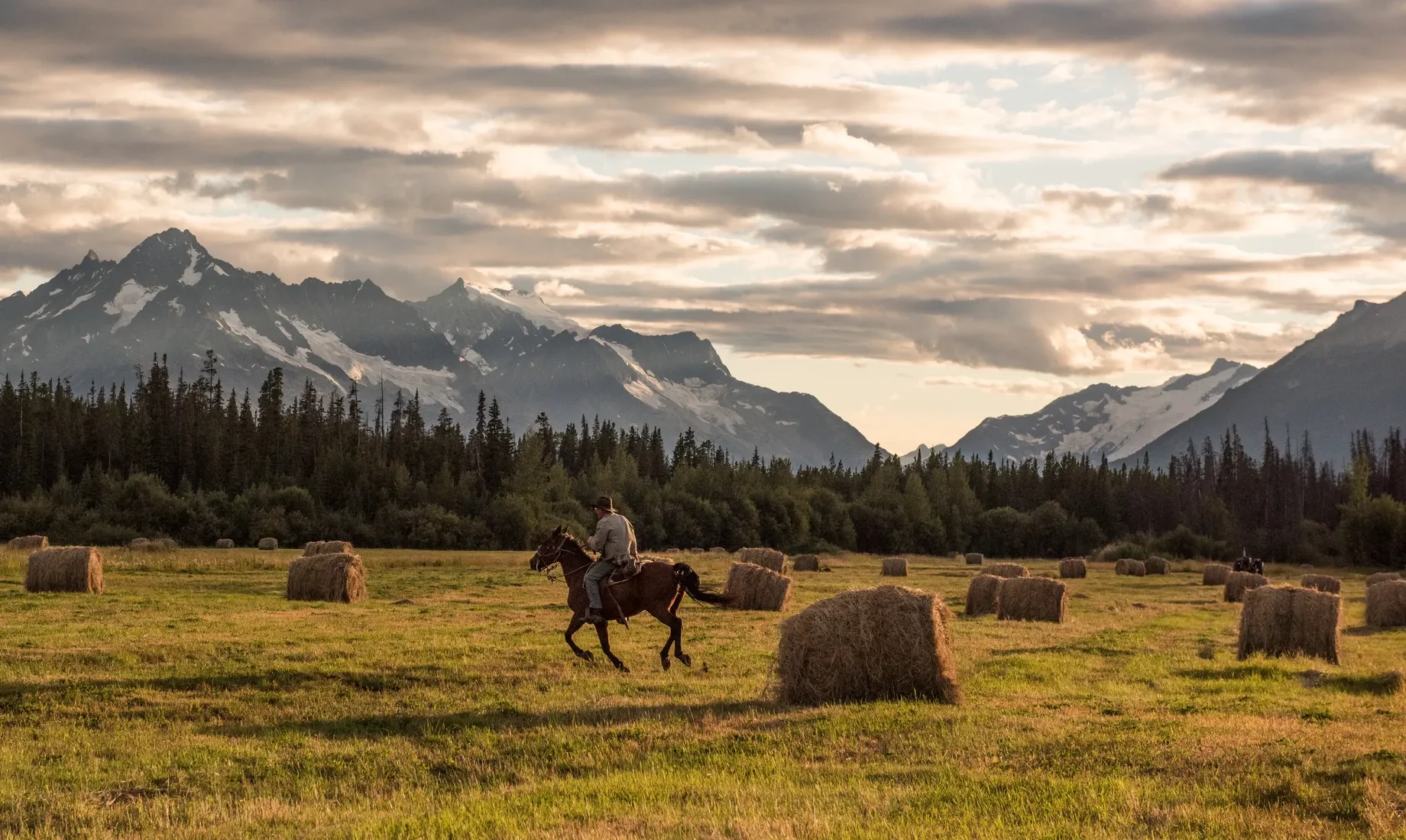 Horseback Riding at Bracewell's Alpine Wilderness Adventures above Tatlayoko Lake