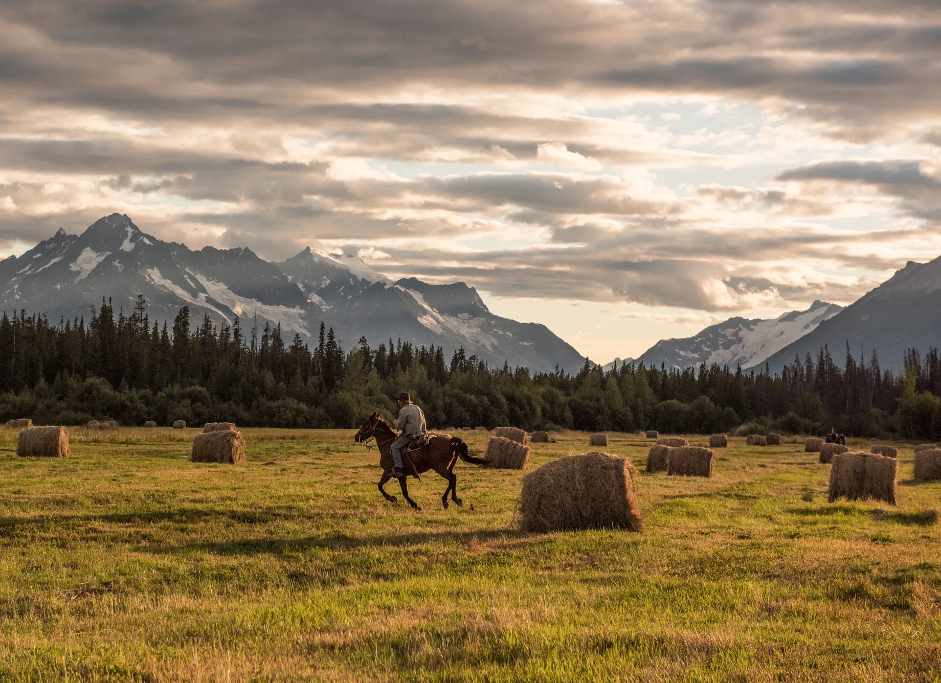 Reiten bei Bracewell's Alpine Wilderness Adventures oberhalb des Tatlayoko Lake