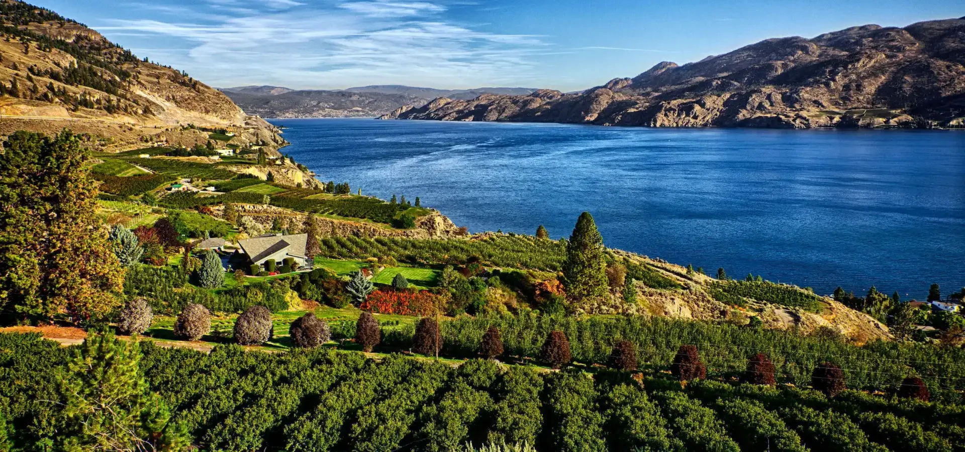 Eine Ansicht des Okanagan Lake von einem Weinberg in Summerland.