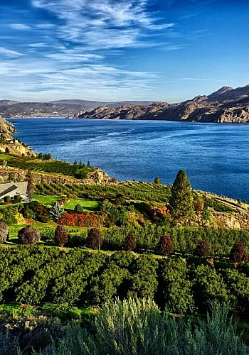 Eine Ansicht des Okanagan Lake von einem Weinberg in Summerland.