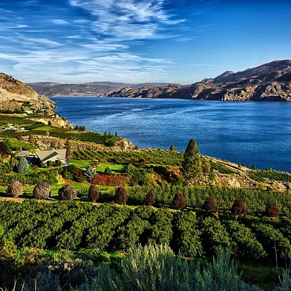 Eine Ansicht des Okanagan Lake von einem Weinberg in Summerland.