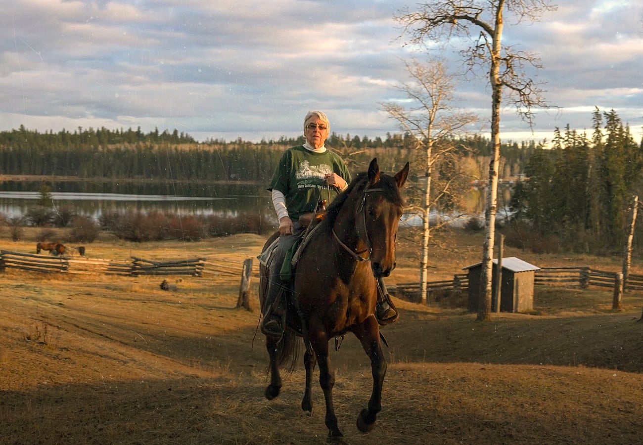 persona montando a caballo al aire libre
