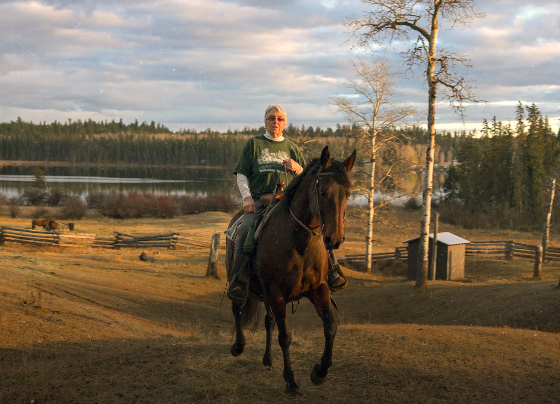 Eine Person reitet draußen ein Pferd